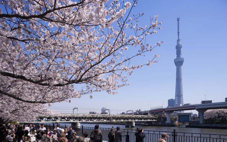 Flyv til Tokyo med SAS Flyv til Tokyo med SAS